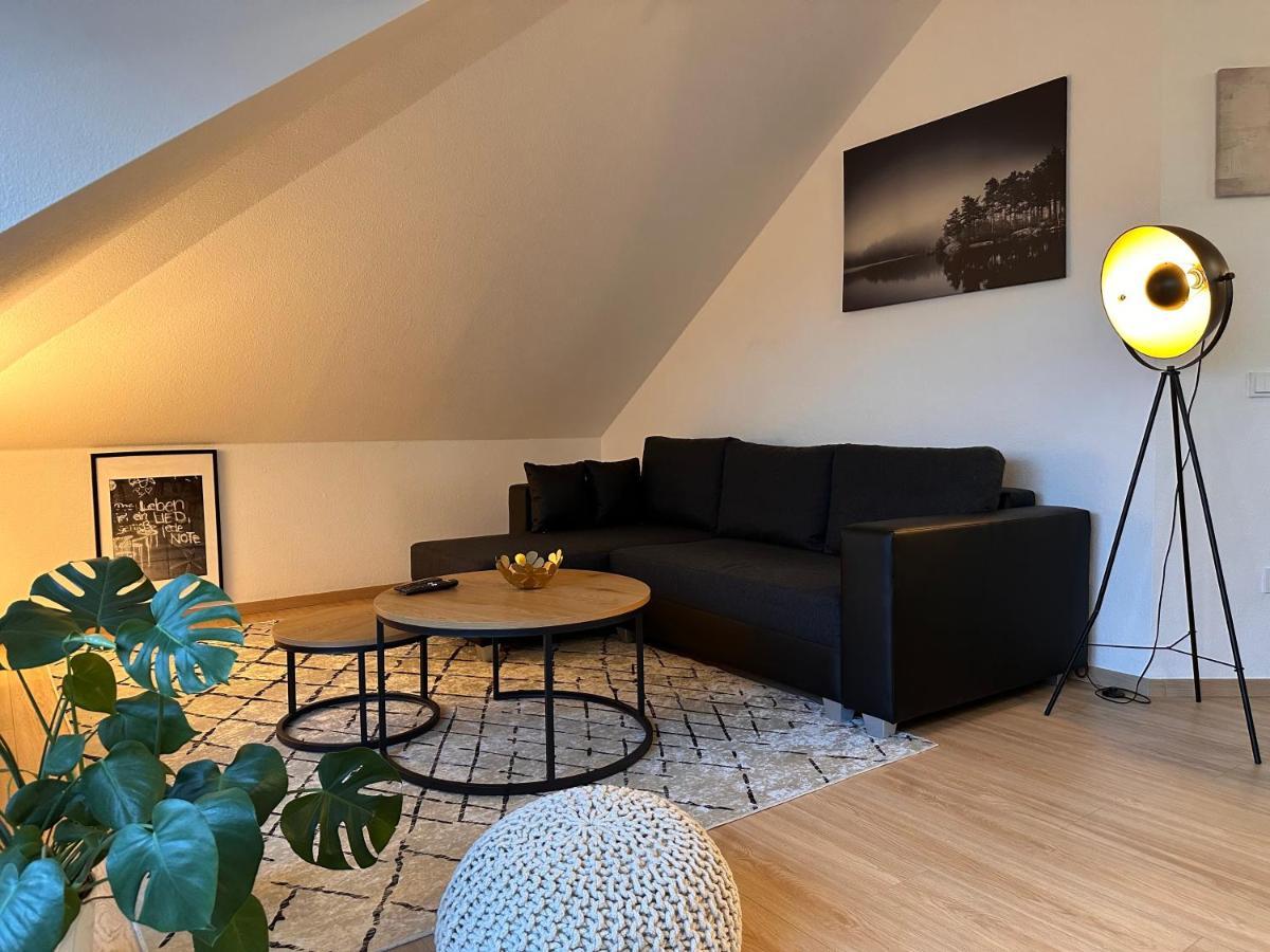 Oasis Appart - Wohnen Am Elbtal - Balkon - Netflix - Tiefgarage Drezda Kültér fotó