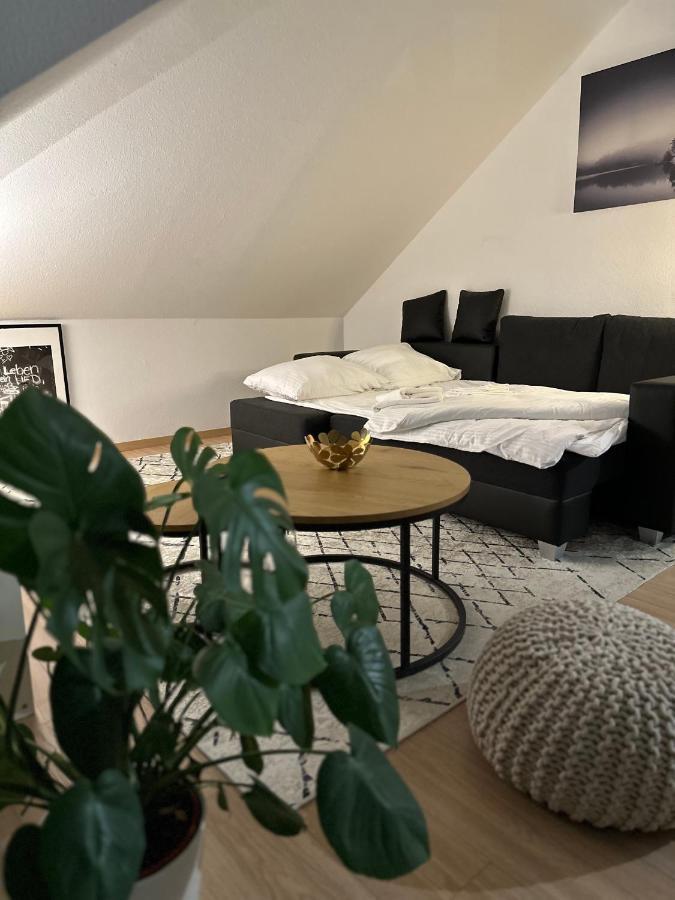 Oasis Appart - Wohnen Am Elbtal - Balkon - Netflix - Tiefgarage Drezda Kültér fotó